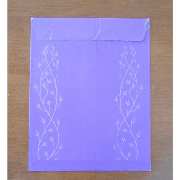 Walt Disney's Sleeping Beauty Exclusive Commemorative Disney Store Lithograph - Picture 4 of 4